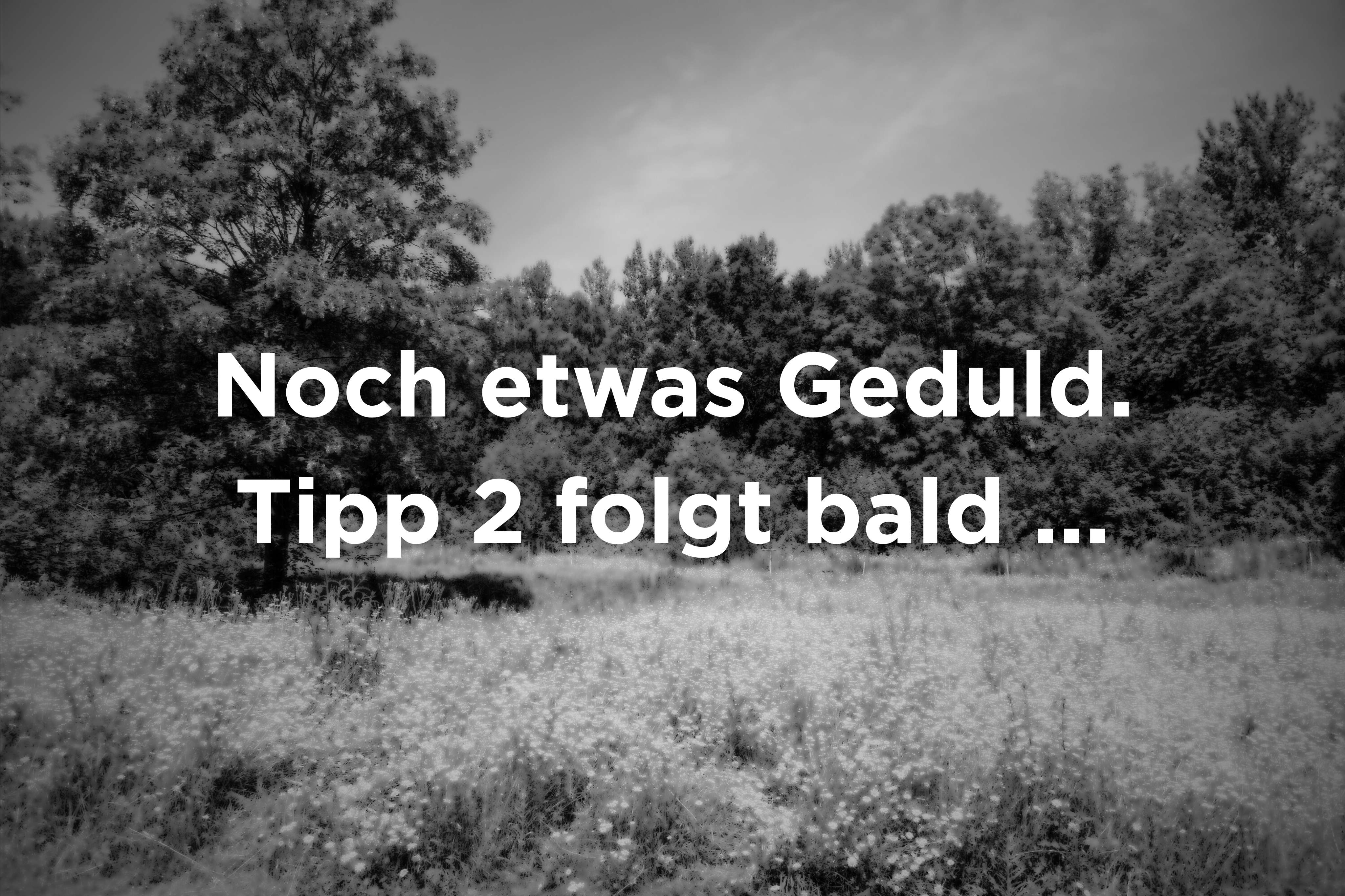 Platzhalter Ferientipps