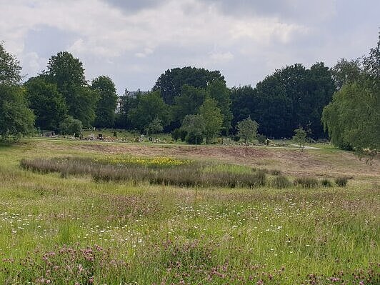 Blick auf eine Blühwiese auf dem Friedhof am Hellweg