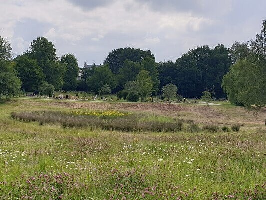 Blick auf eine Blühwiese auf dem Friedhof am Hellweg