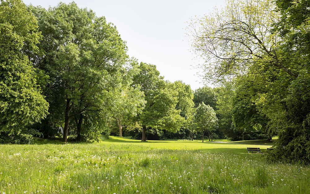 Parklandschaft im Revierpark Nienhausen.