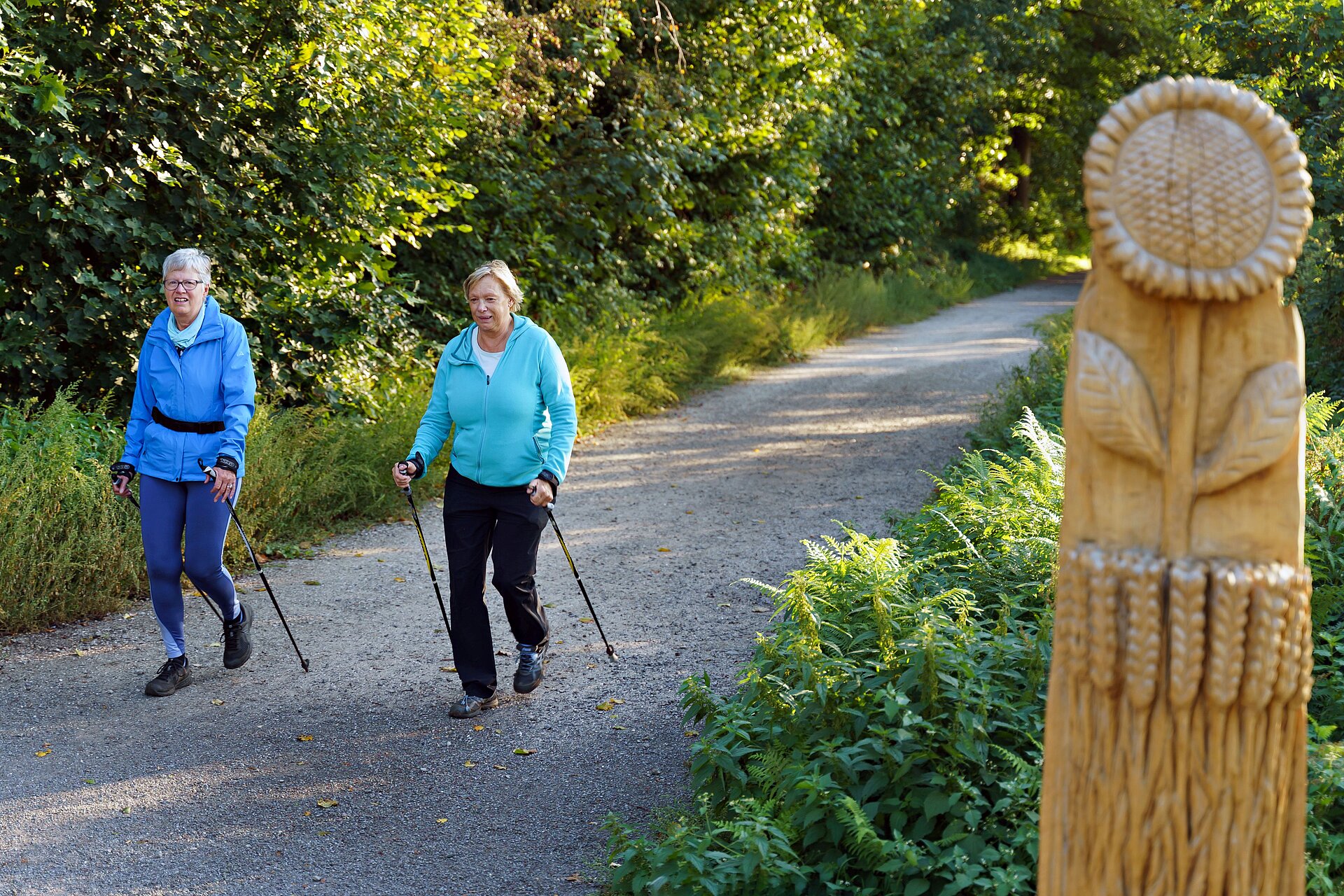 Die neue Waldpromenade in der Haard zwischen Marl und Oer-Erkenschwick.