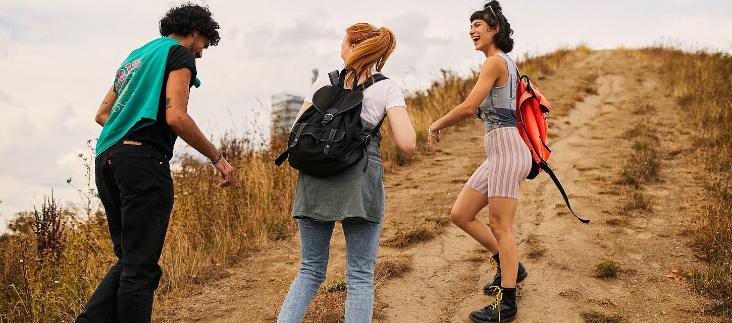 Drei Personen wandern einen Hügel hinauf. 