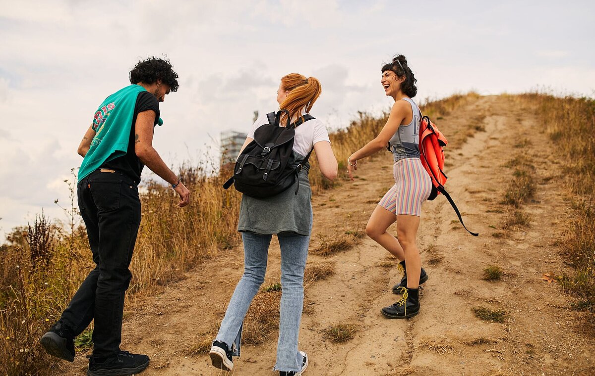 Drei Personen wandern einen Hügel hinauf. 