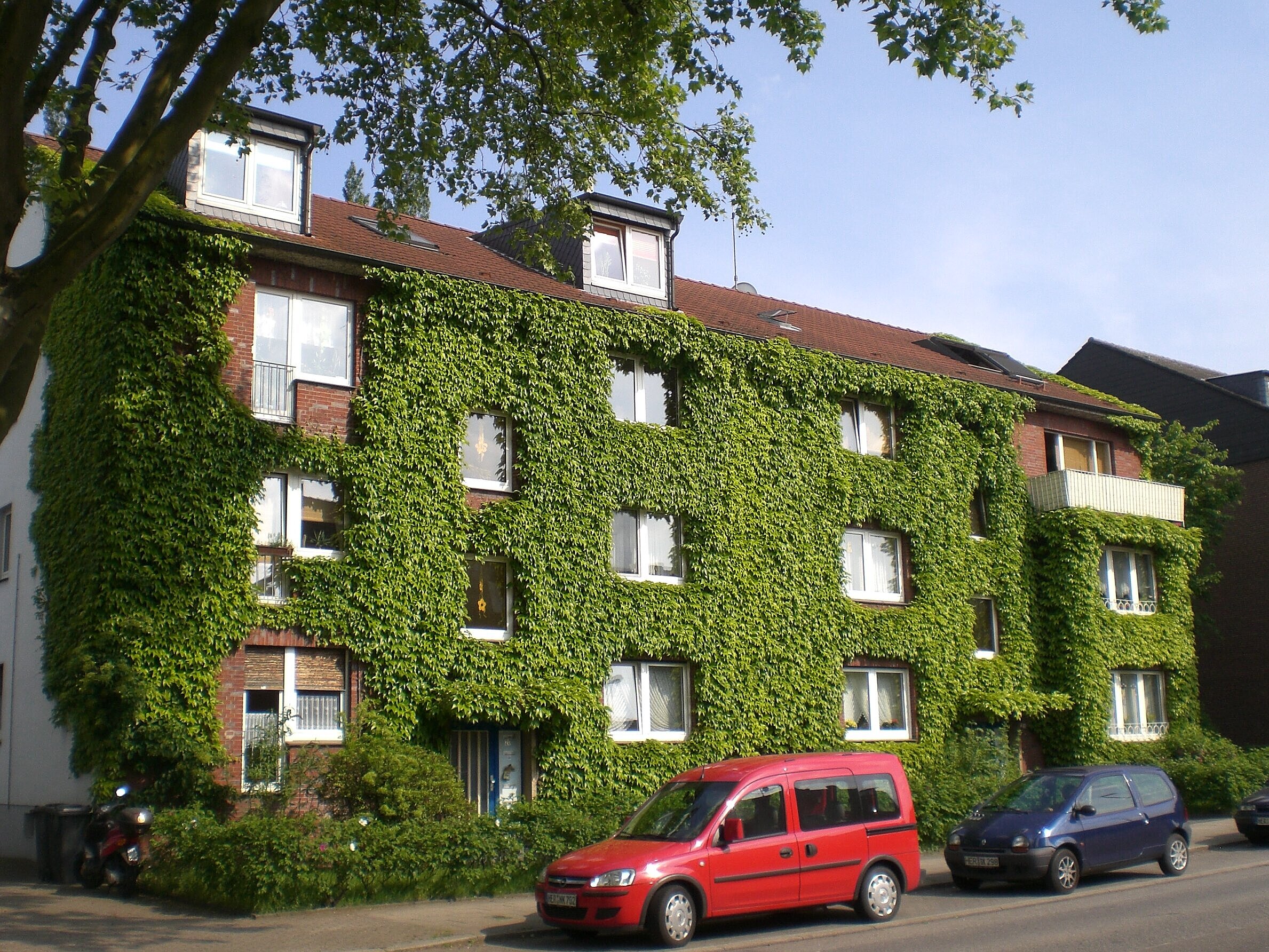 Blick auf eine Wohnhaus mit Fassadenbegrünung in Wanne-Eickel