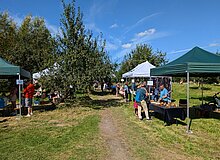 Blick auf eine Obstwiese mit Festzelten