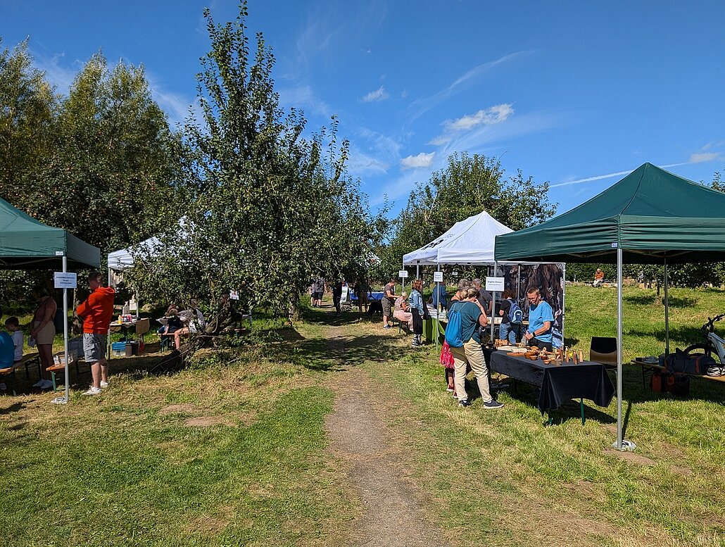 Blick auf eine Obstwiese mit Festzelten