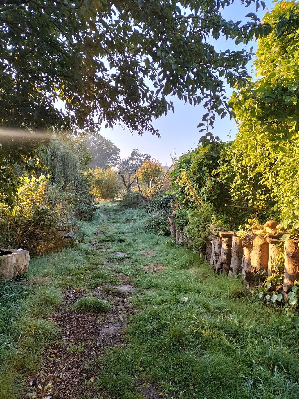 Blick auf den Gemeinschaftsgarten Hof Bergmann im Morgenlicht