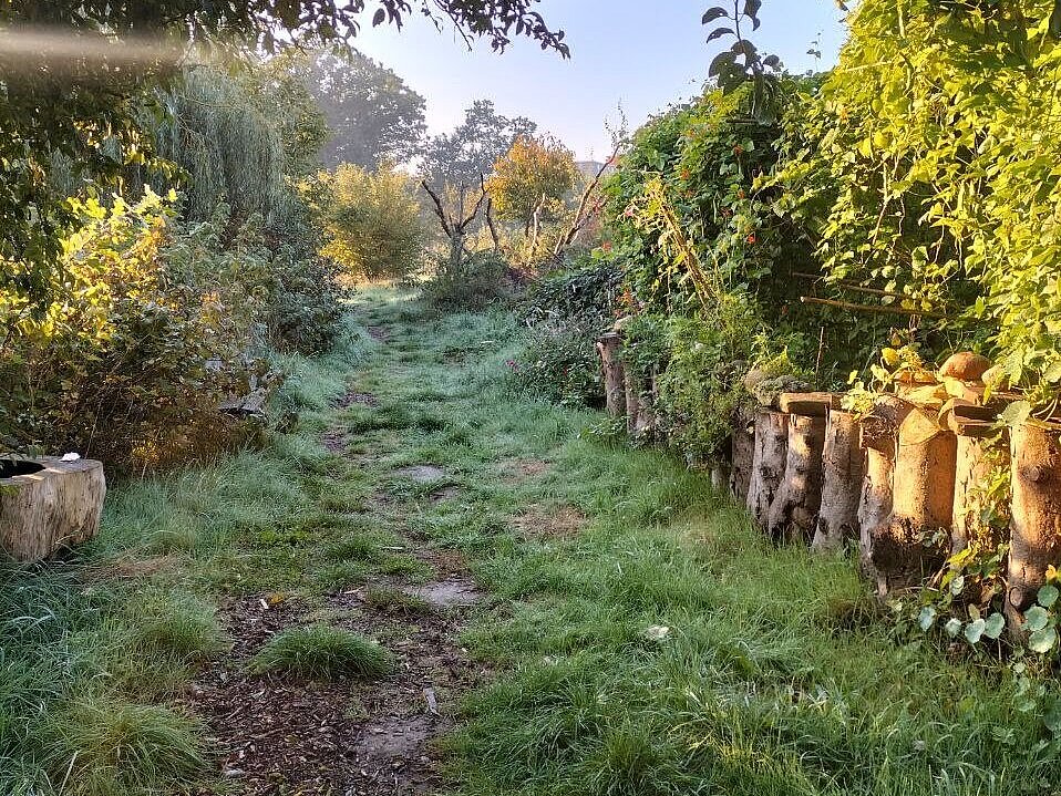 Blick auf den Gemeinschaftsgarten Hof Bergmann im Morgenlicht