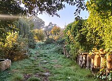 Blick auf den Gemeinschaftsgarten Hof Bergmann im Morgenlicht