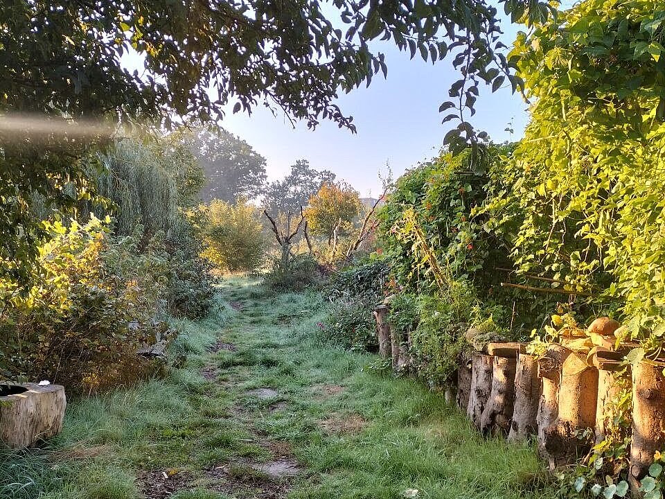 Blick auf den Gemeinschaftsgarten Hof Bergmann im Morgenlicht