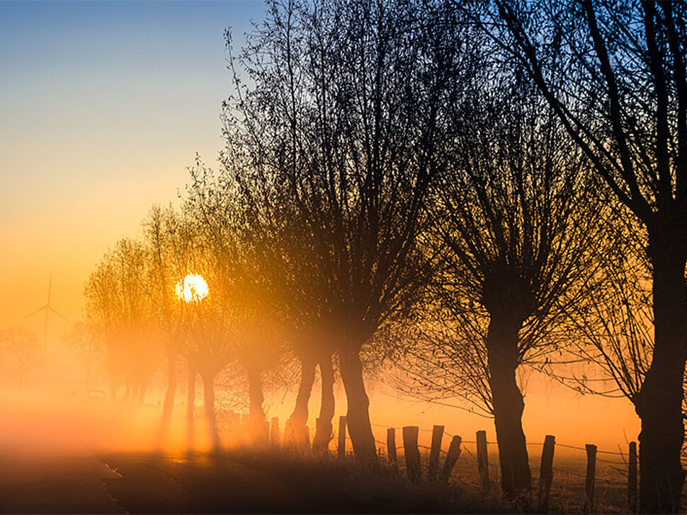 Sonnenuntergang auf der Bislicher Insel