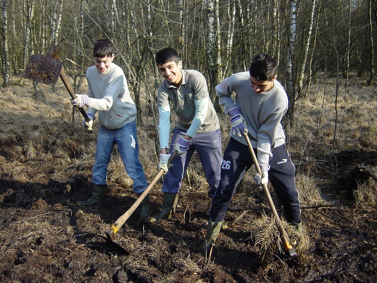 Schüler entfernen Pfeifengras und tragen den Oberboden ab. Foto: RVR/Archiv      