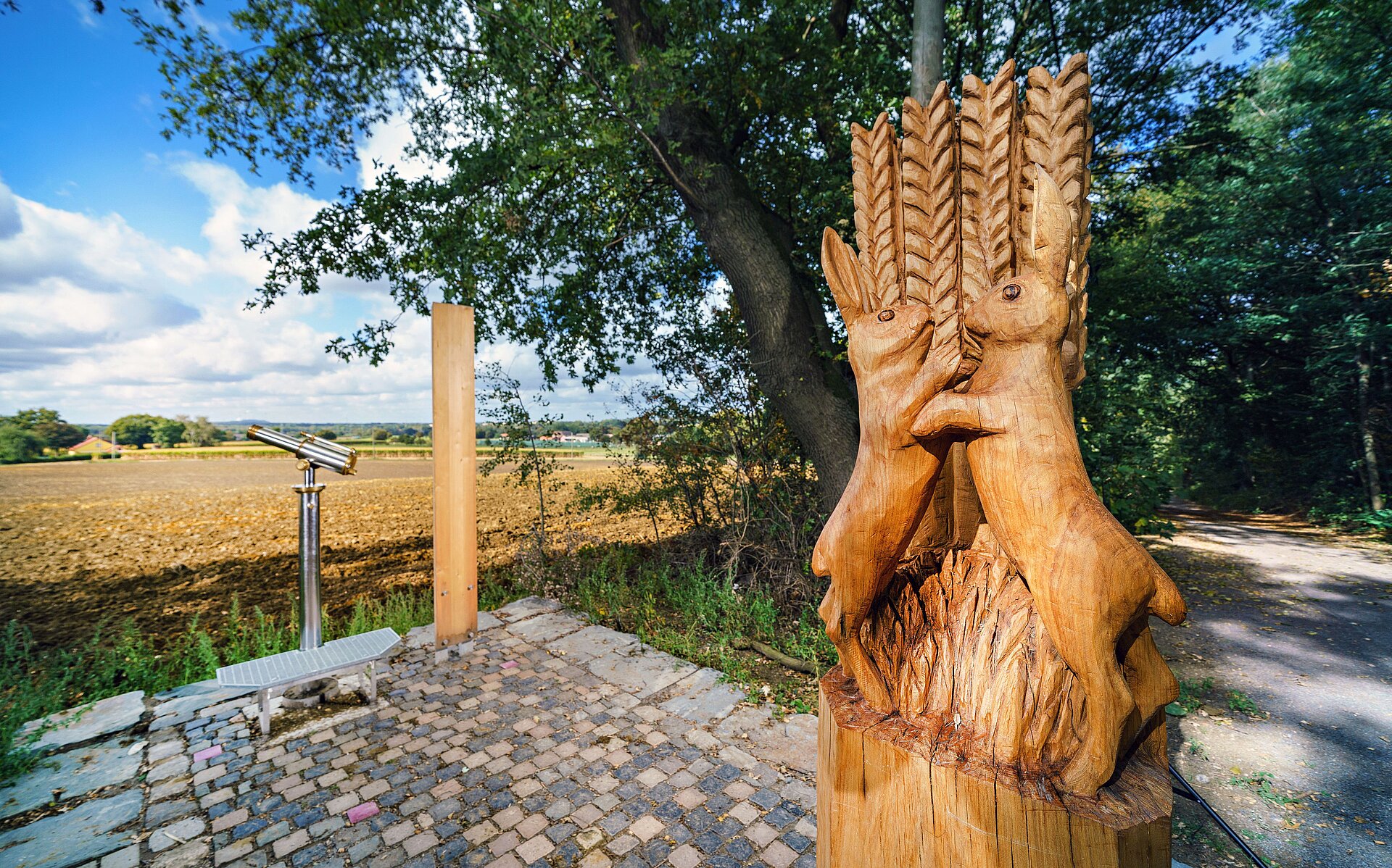 Die neue Waldpromenade in der Haard zwischen Marl und Oer-Erkenschwick.