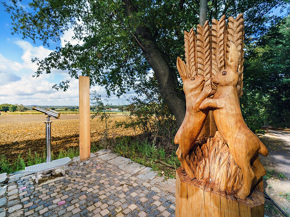 Die neue Waldpromenade in der Haard zwischen Marl und Oer-Erkenschwick.