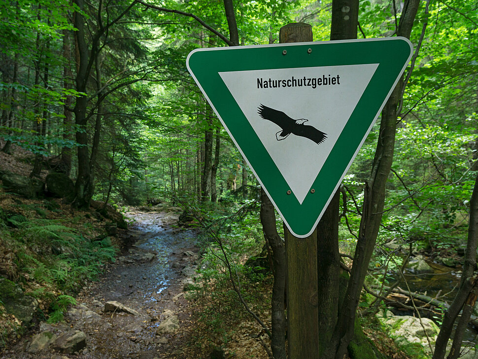 Schild Naturschutzgebiet im Wald