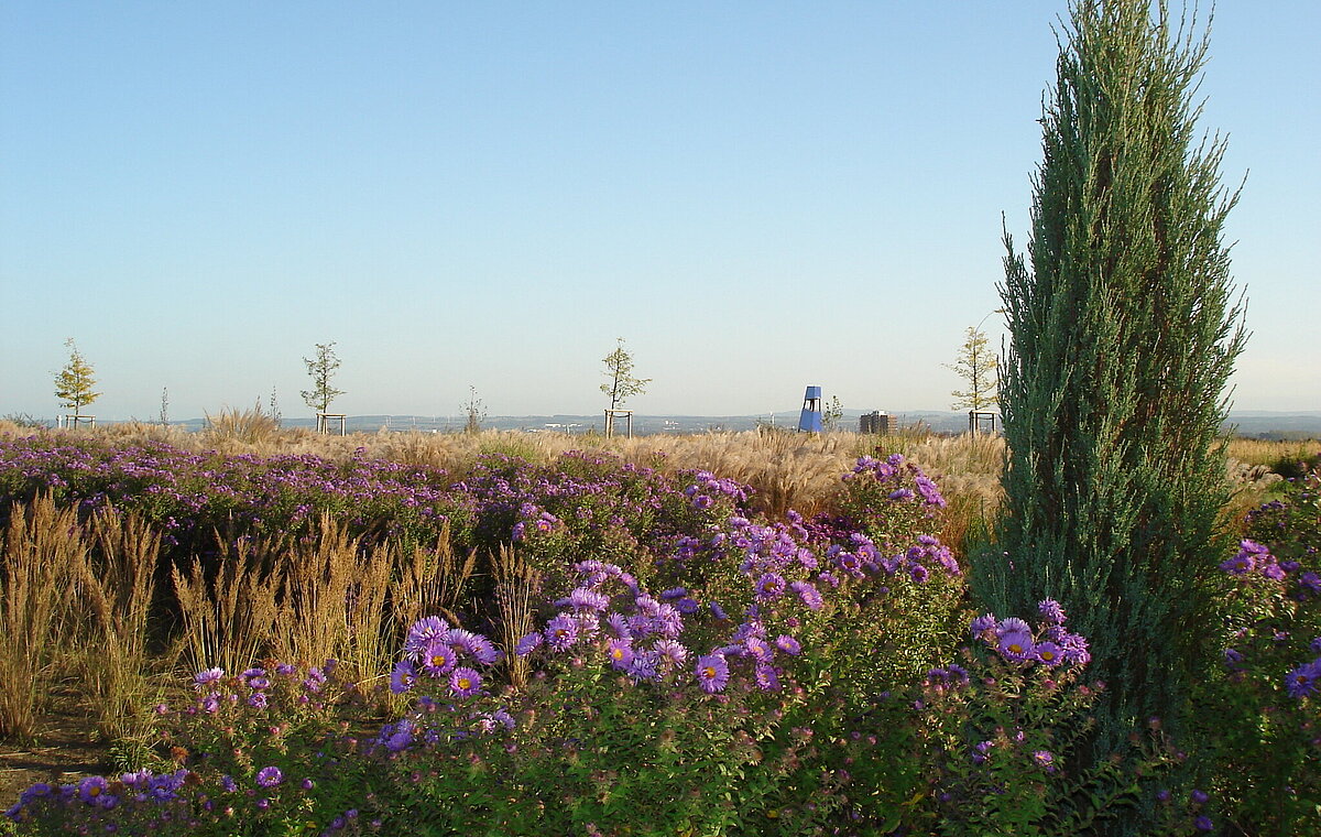 Halde Großes Holz in Bergkamen. Foto: RVR/Diermann