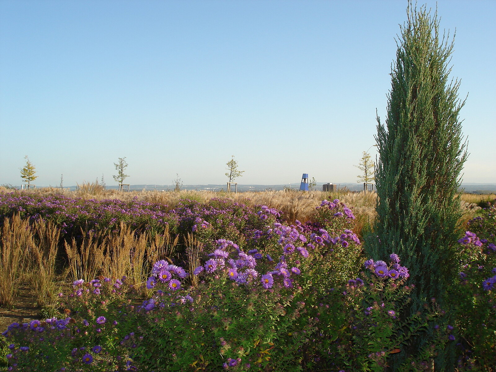 Halde Großes Holz in Bergkamen. Foto: RVR/Diermann