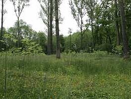 Waldgebiet Castroper Holz in Castrop-Rauxel.