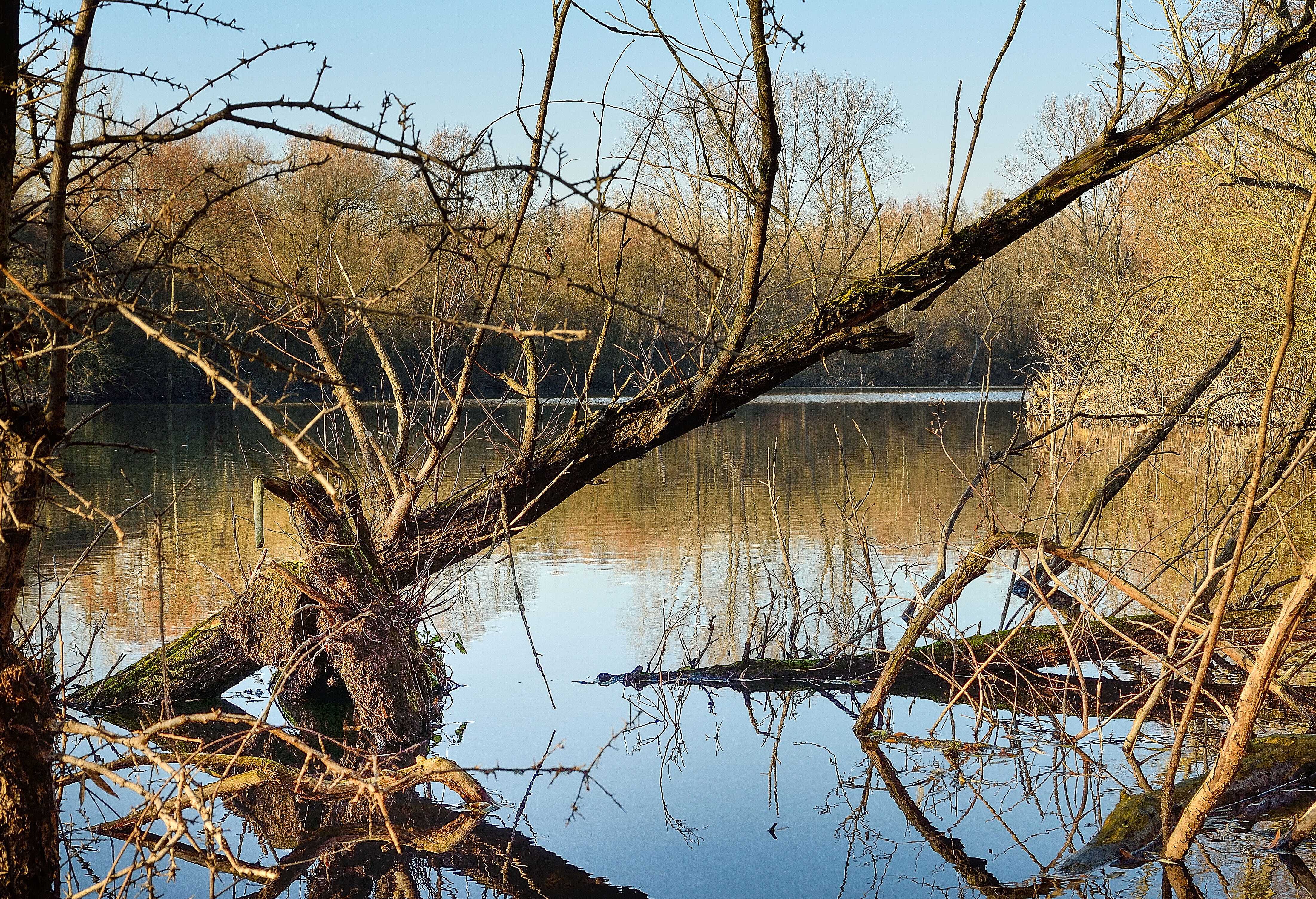 Auenlandschaft mit Wasser