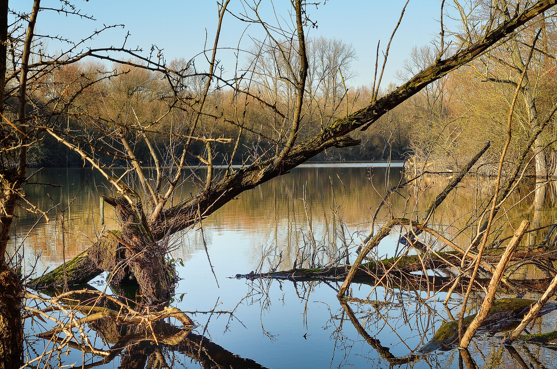 Auenlandschaft mit Wasser