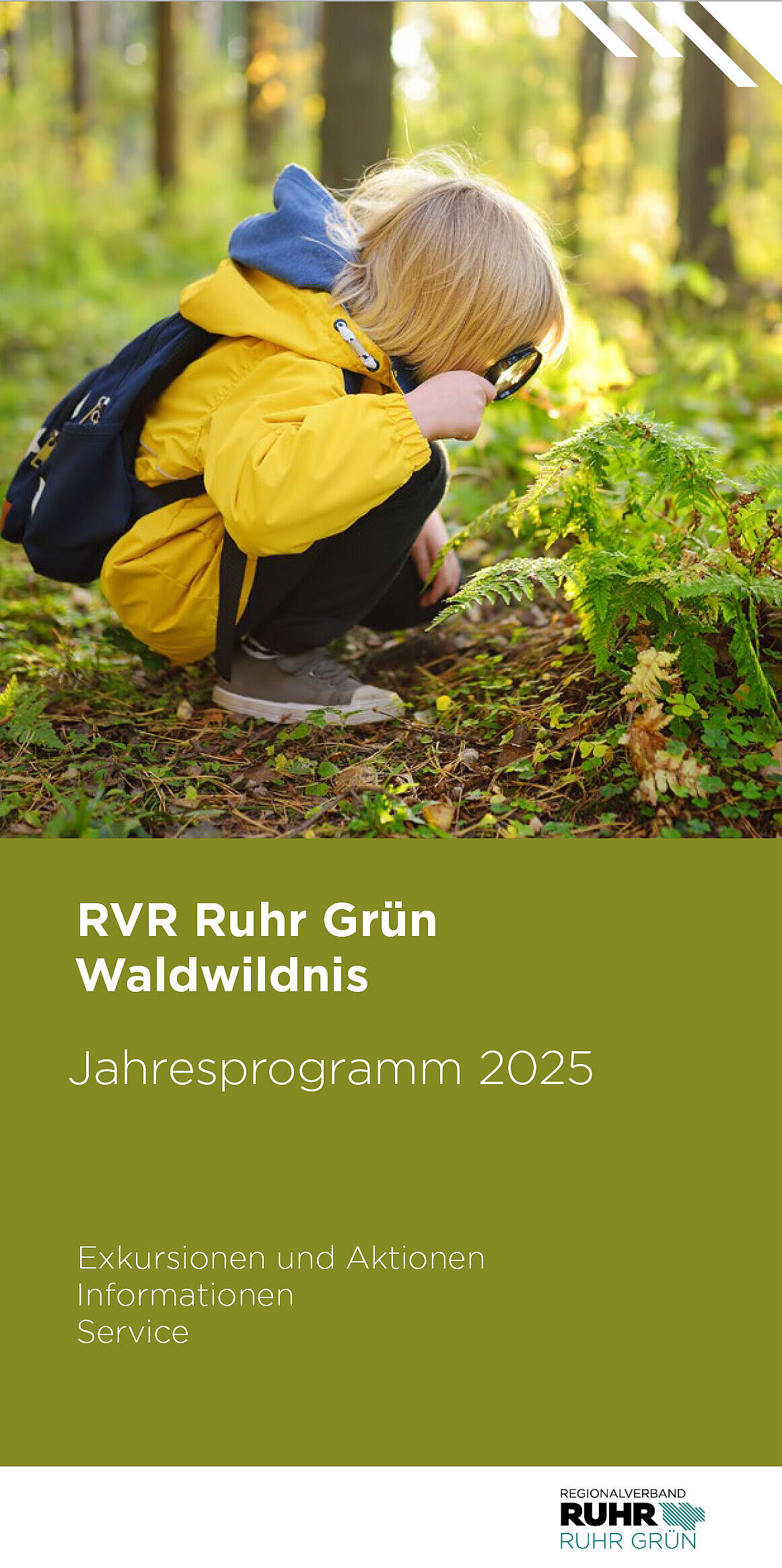 Kind schaut mit einer Lupe auf den Waldboden