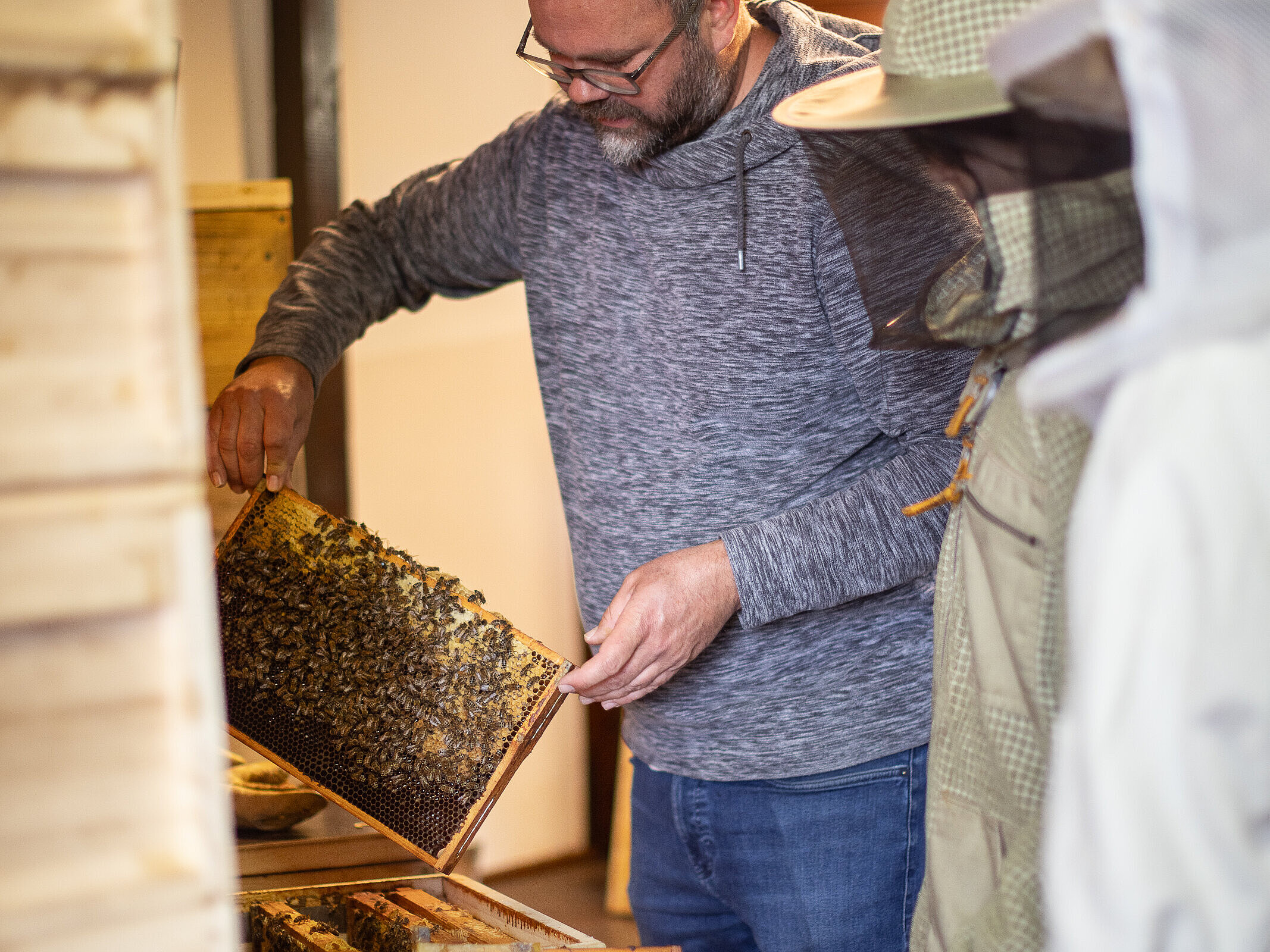 Zu Besuch im Bienenhaus beim Imker Matthias Kleinöder. 