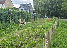Zwischen einem Gartenzaun und einem niedrigen Holzzaun ist eine Wiese mit wildblühenden, niedrigen Pflanzen. Im Hintergrund links hängen an dem Gartenzaun Insektenhotels und es liegen dort Baumstämme und Äste. 
