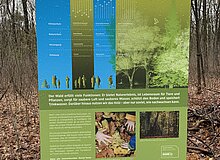 Infotafel des RVR über die Funktionen des Waldes