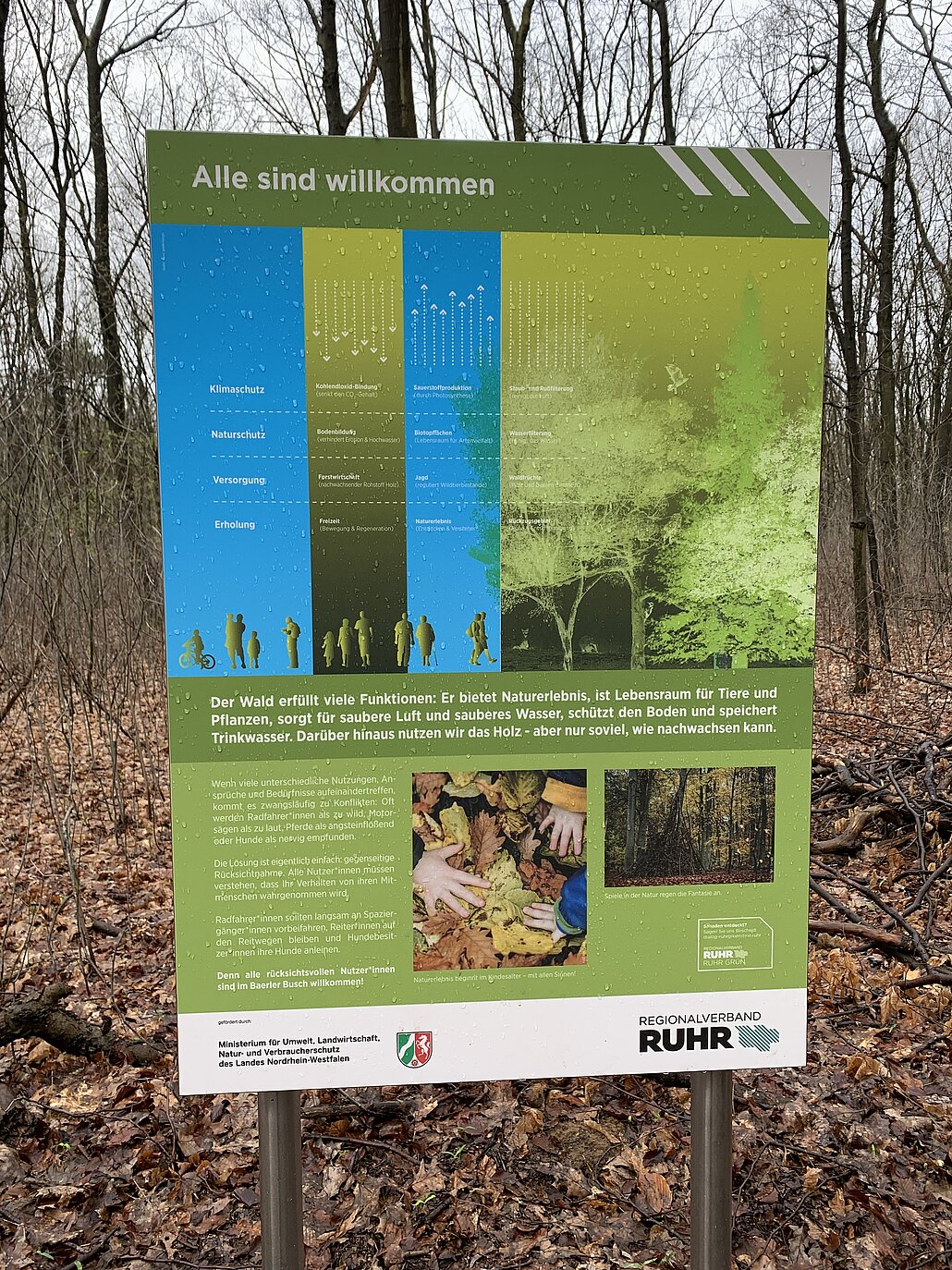 Infotafel des RVR über die Funktionen des Waldes