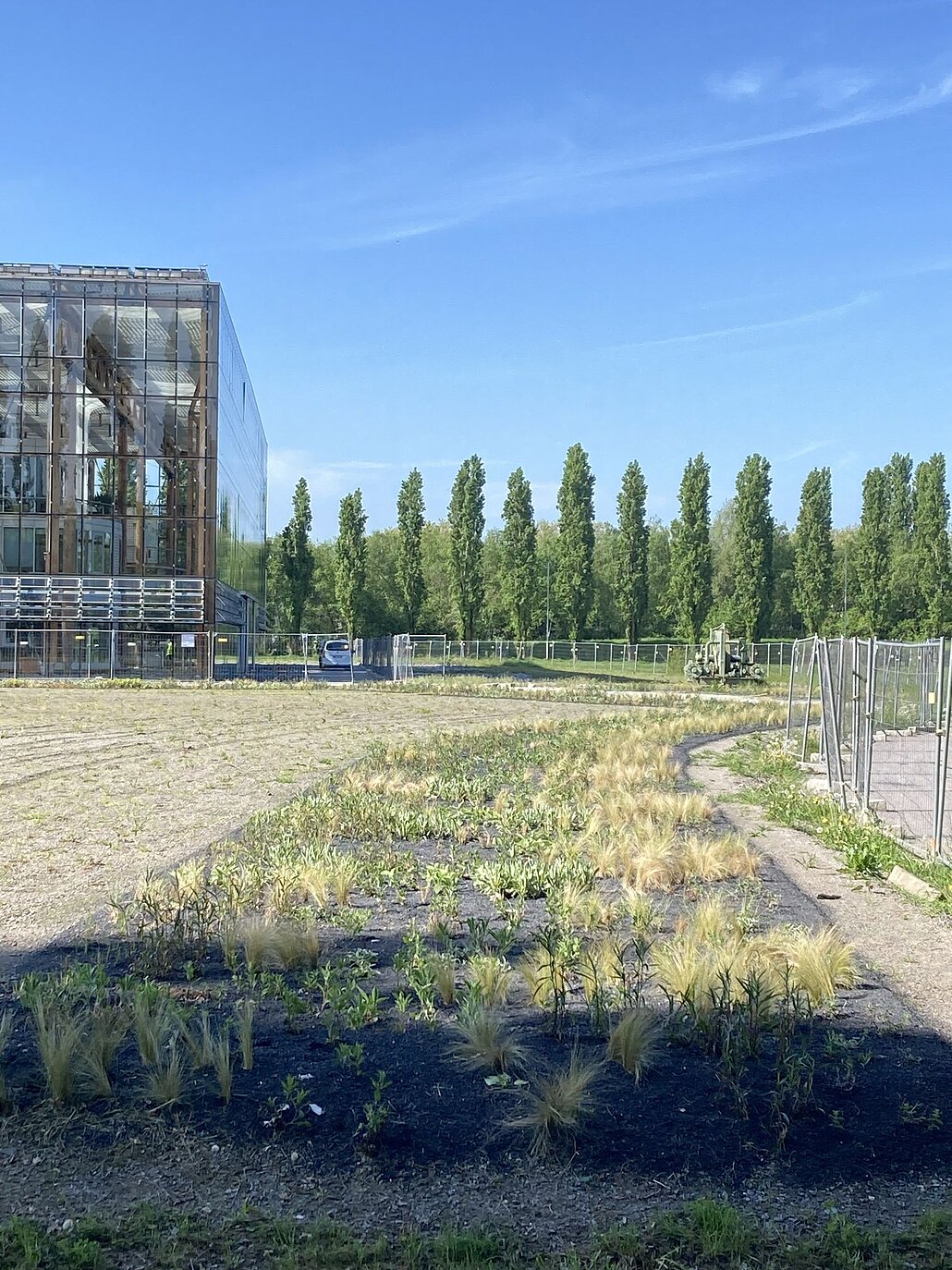 Pflanzenband an der Akademie Mont-Cenis