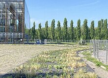 Pflanzenband an der Akademie Mont-Cenis