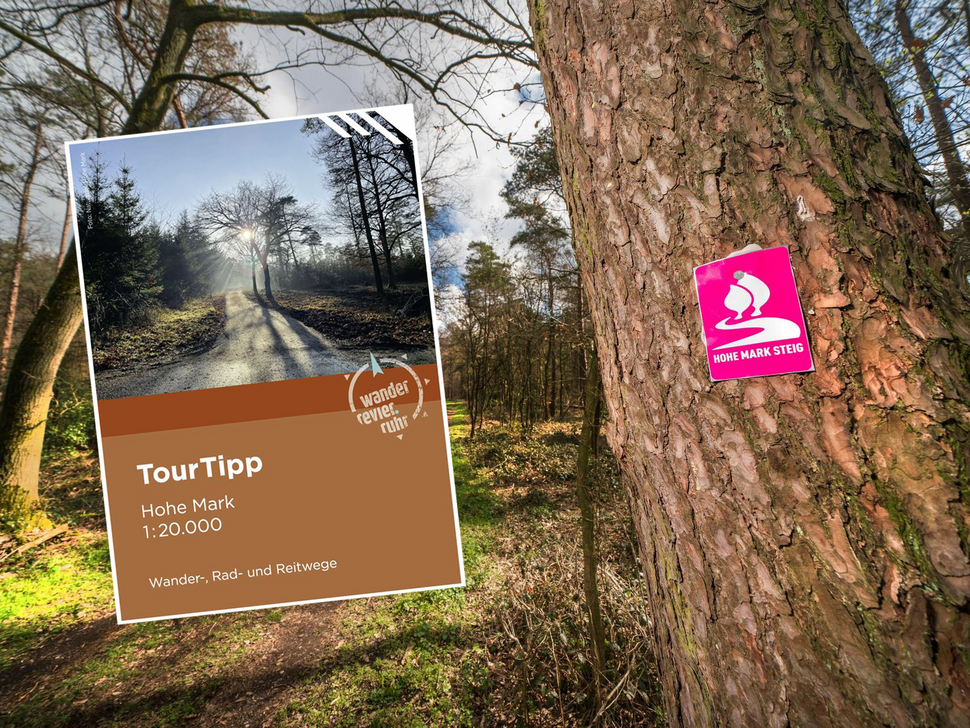 Baum mit Wandersignet "hohe Mark Steig" im HIntegrund, Ausschnitt der ToutTipp-Karte im Vordergrund