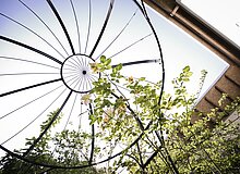 Rosenpavillion, Stütze für Kletterrosen