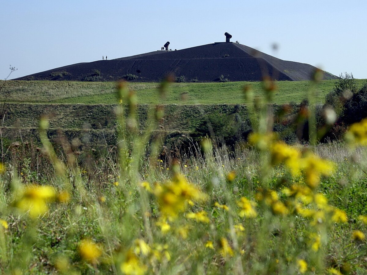 Halde Rungenberg mit Lichtinstallation Gelsenkirchen