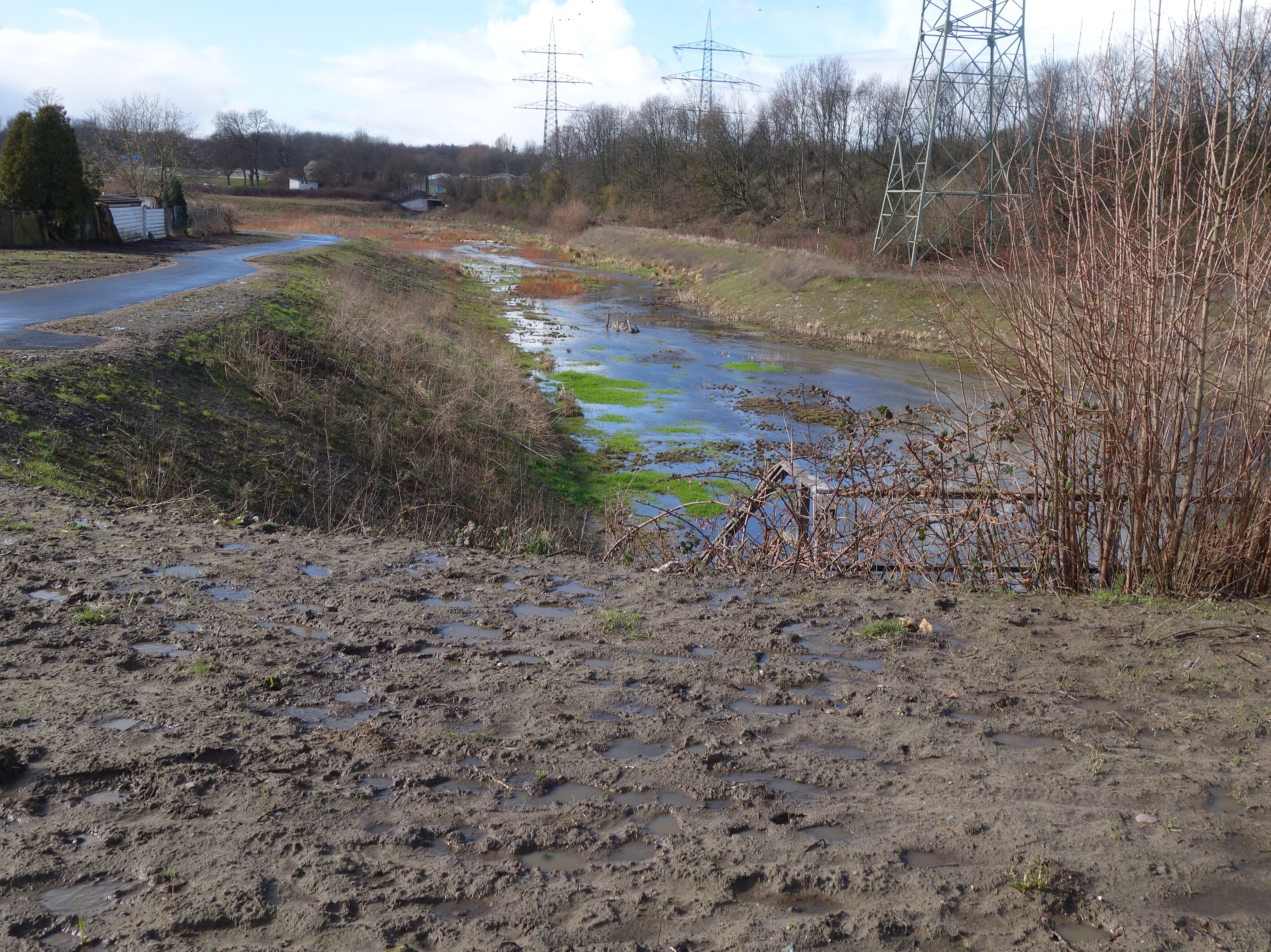 Blick auf einen renaturierten Bachlauf in Bottrop