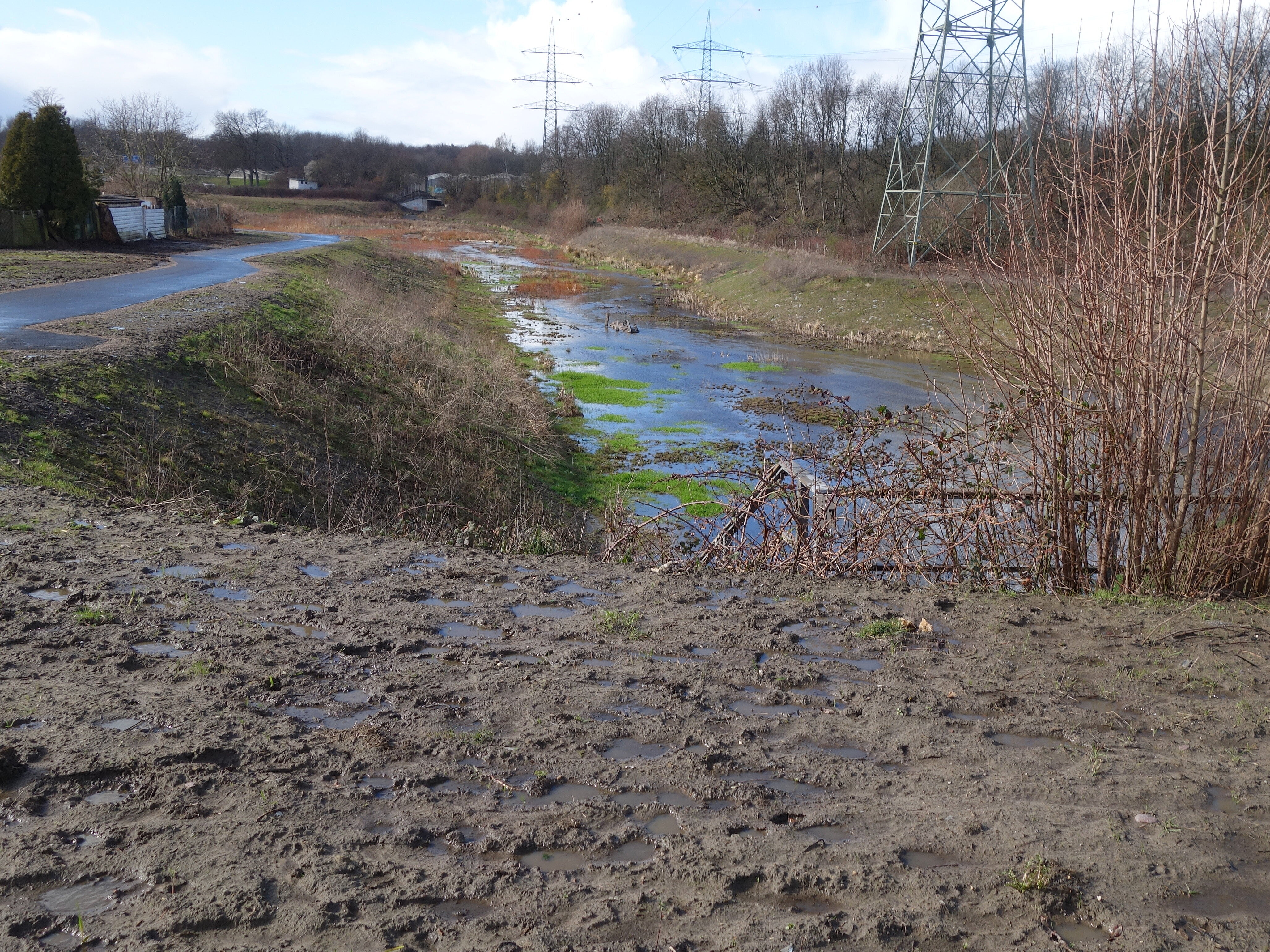 Blick auf einen renaturierten Bachlauf in Bottrop