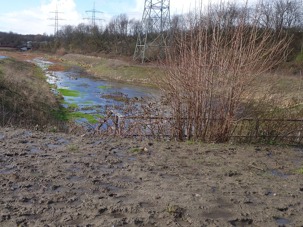 Blick auf einen renaturierten Bachlauf in Bottrop