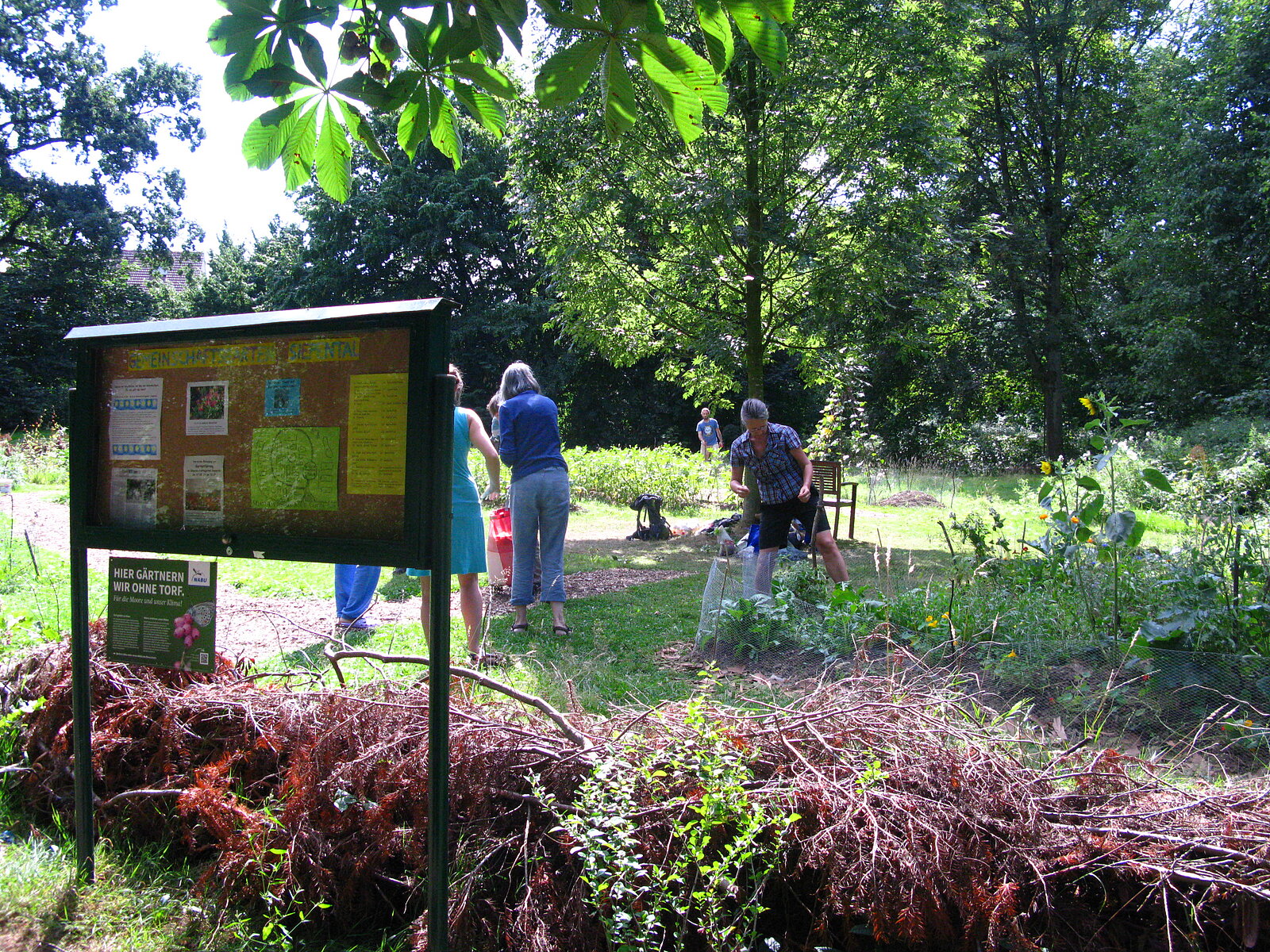 Gemeinschaftliches Gärtnern in einem Gemeinschaftsgarten in Essen.