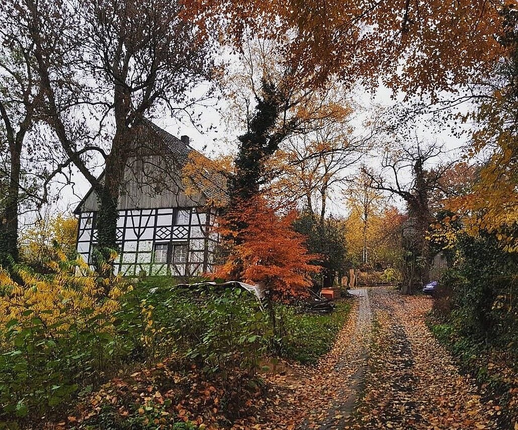bunte herbstliche Bäume und Büsche, im Hintergrund steht ein Fachwerkhaus.