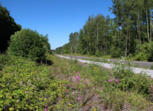 Foto eines Radweges samt Randbereiche