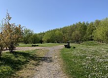 Blick auf ein Parkgelände im Frühling