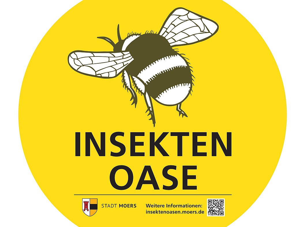 Großformatige Biene vor gelbem Hintergrund mit Unterschrift Insektenoase