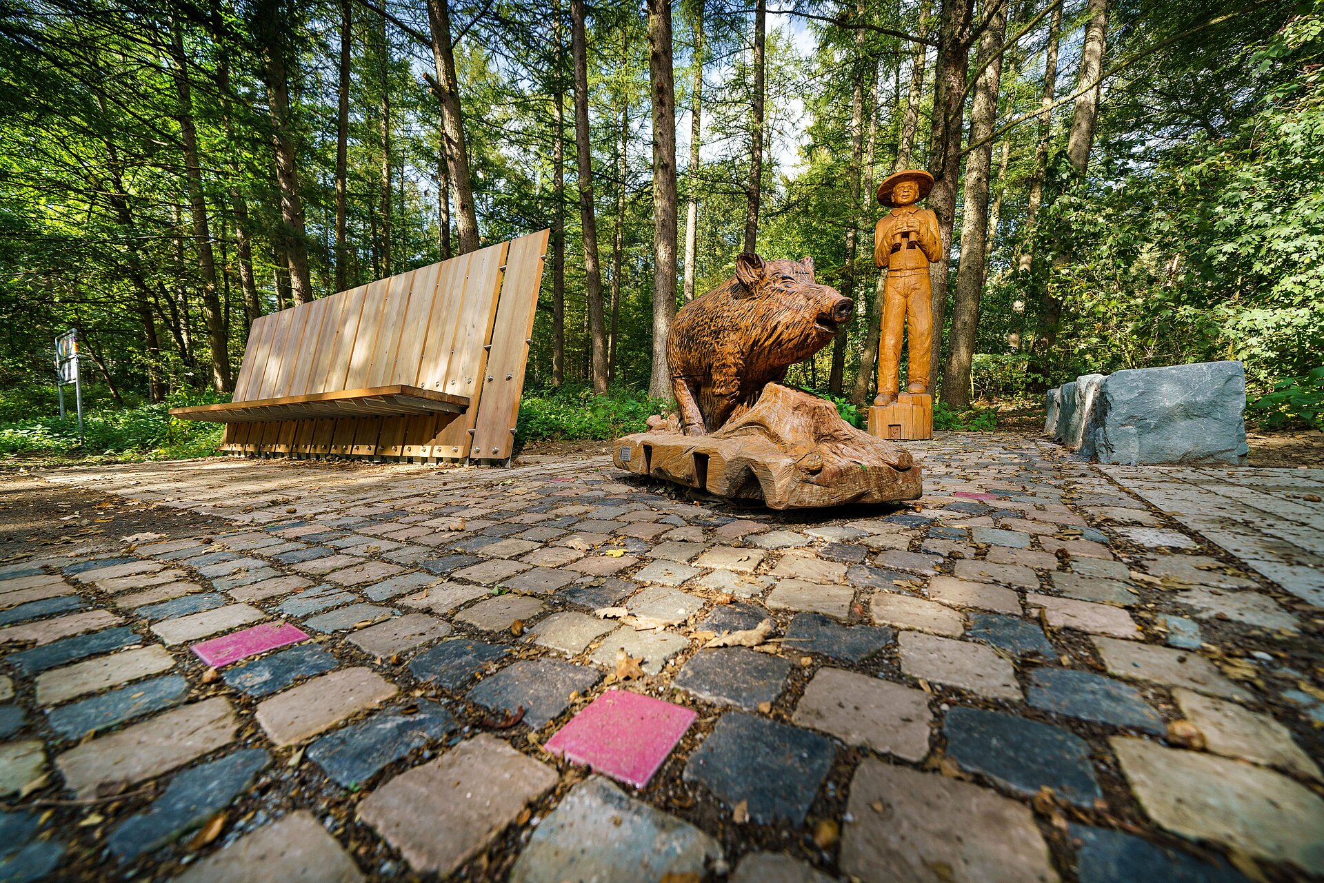 Die neue Waldpromenade in der Haard zwischen Marl und Oer-Erkenschwick.