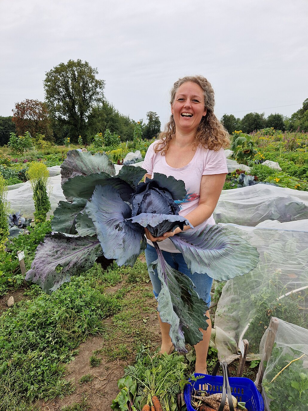 Eine Gärtnerin, die ihren Rotkohl präsentiert