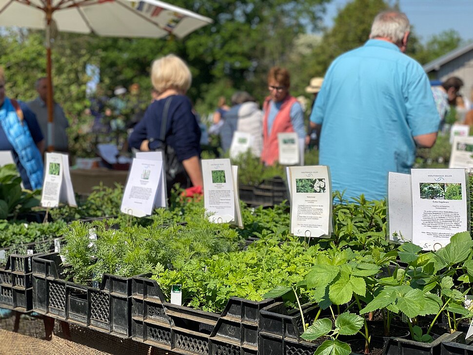 Naturgartentag 2023 am Haus Ripshorst