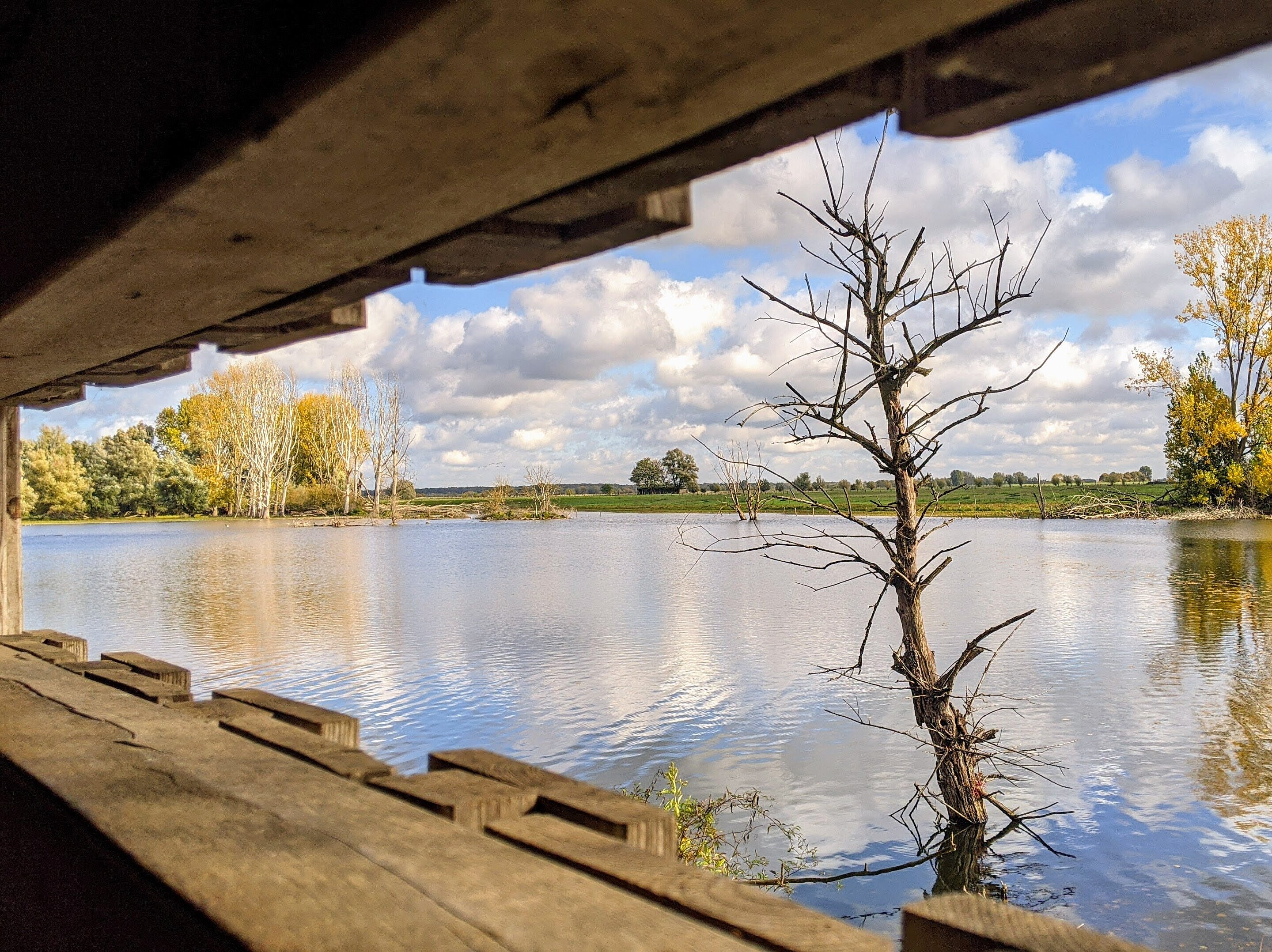 Ausblick aus der Beobachtungshütte 