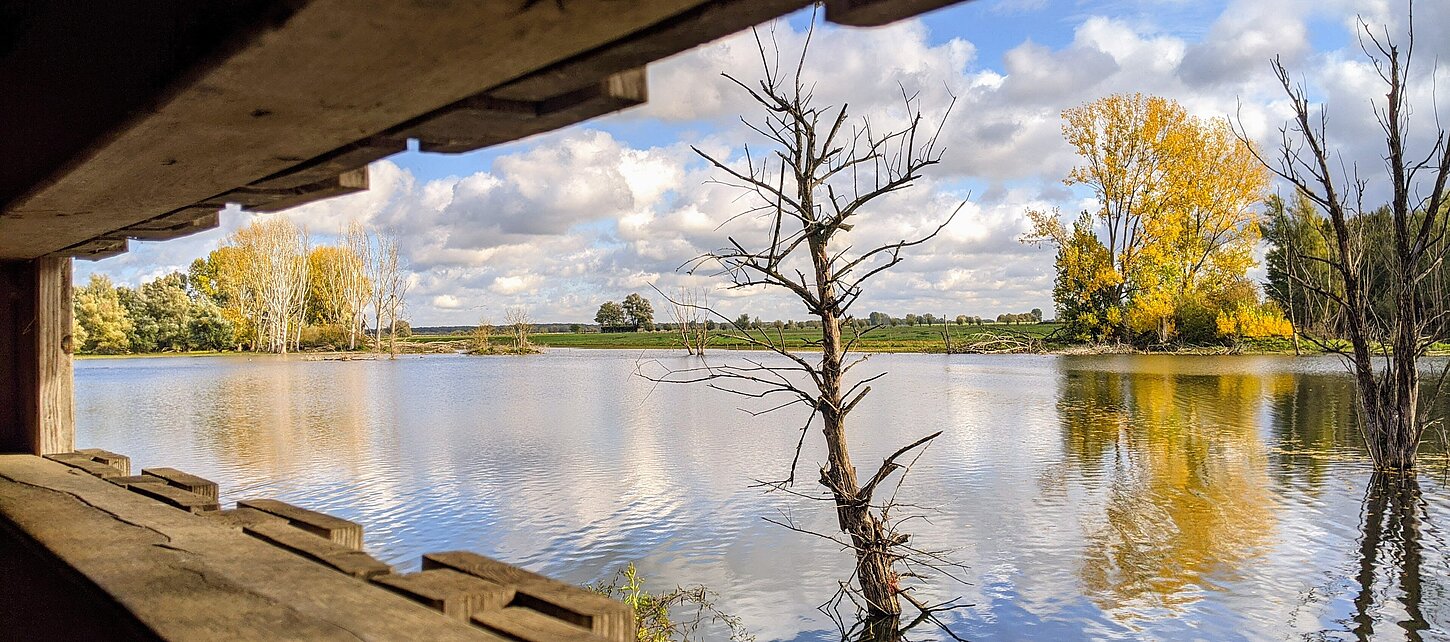 Ausblick aus der Beobachtungshütte 