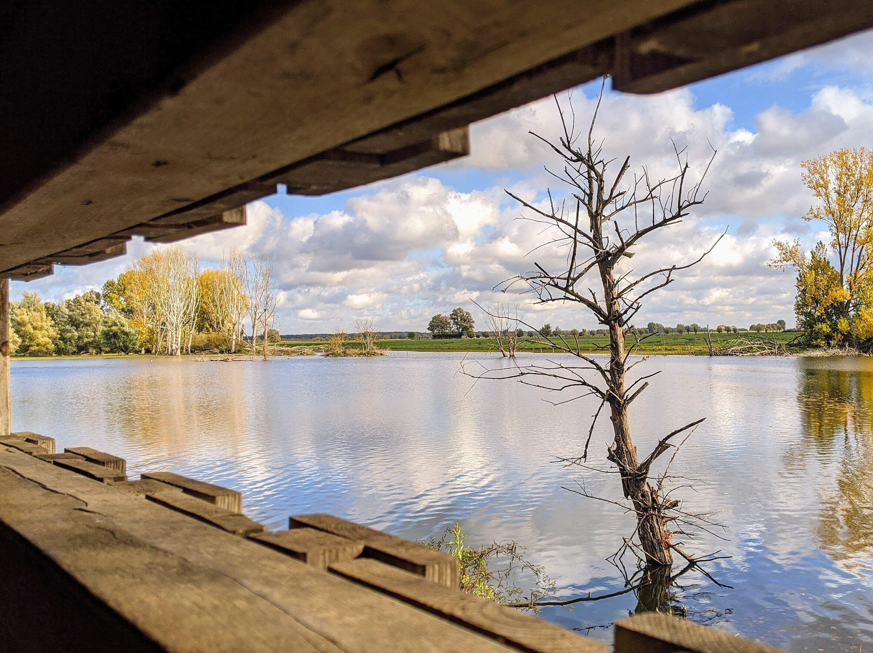 Ausblick aus der Beobachtungshütte 