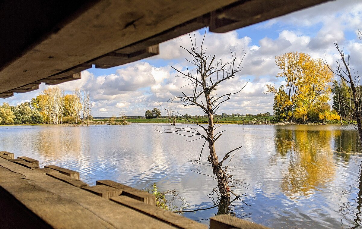 Ausblick aus der Beobachtungshütte 