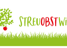 Logo der Streuobstiwesenplattform